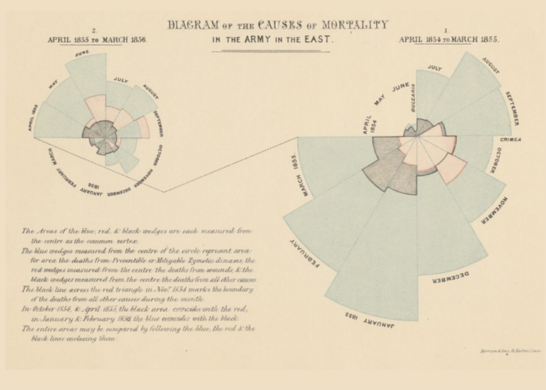 Florence Nightingale's Rose Diagram Power of Business Intelligence